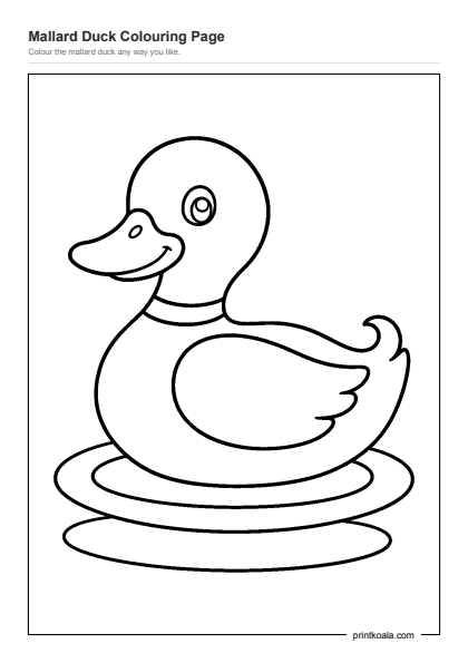 Preview of the Mallard Duck Colouring Page printable worksheet