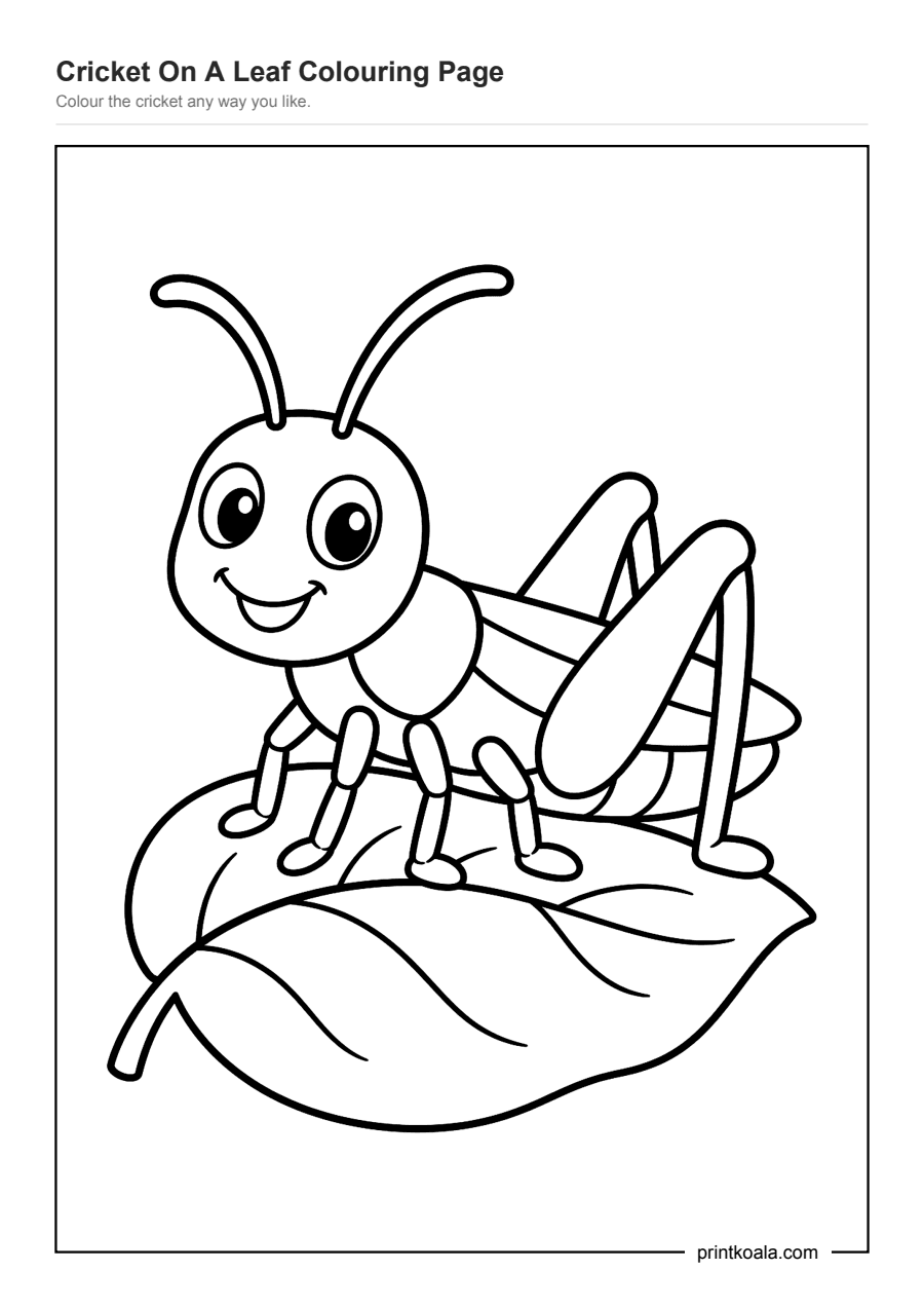 Full preview of the Cricket On A Leaf Colouring Page worksheet