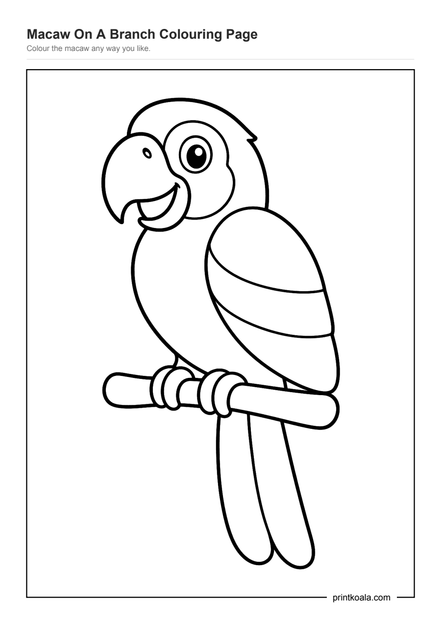 Full preview of the Macaw On A Branch Colouring Page worksheet