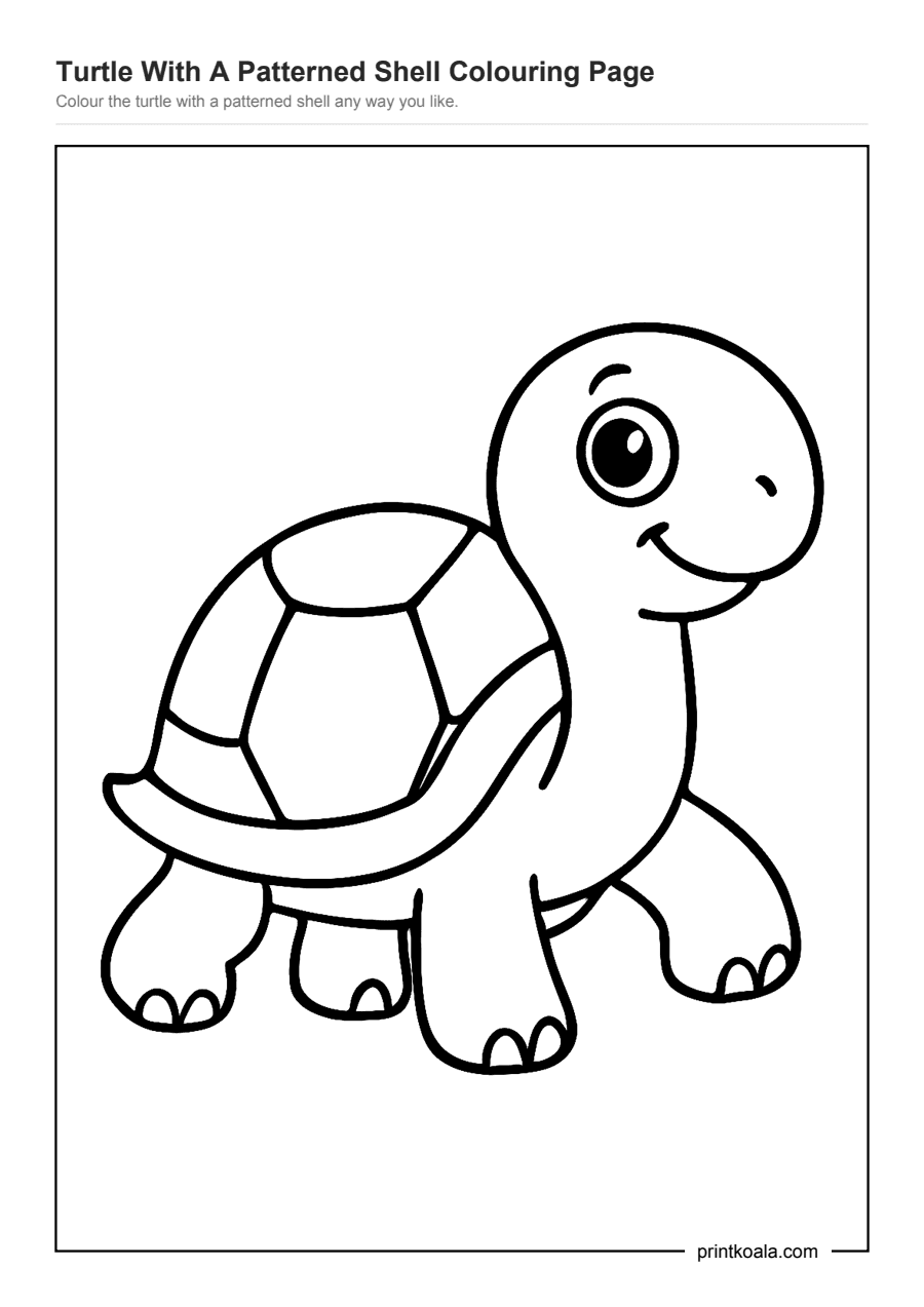 Full preview of the Turtle With A Patterned Shell Colouring Page worksheet
