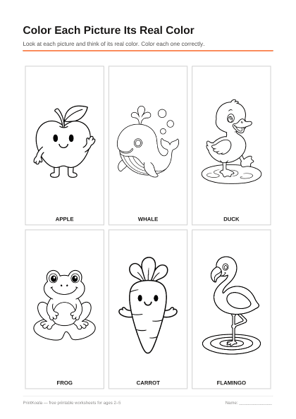 Preview of the Color Each Picture Its Real Color printable worksheet