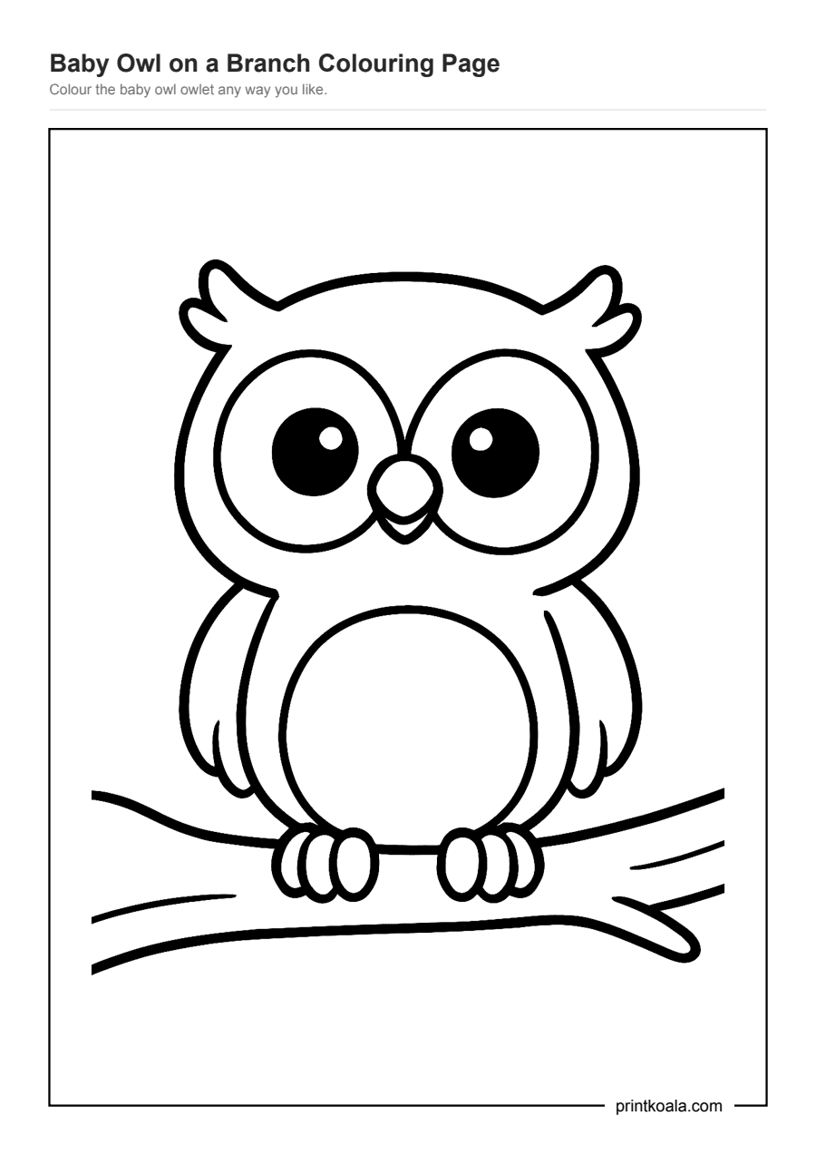 Full preview of the Baby Owl on a Branch Colouring Page worksheet