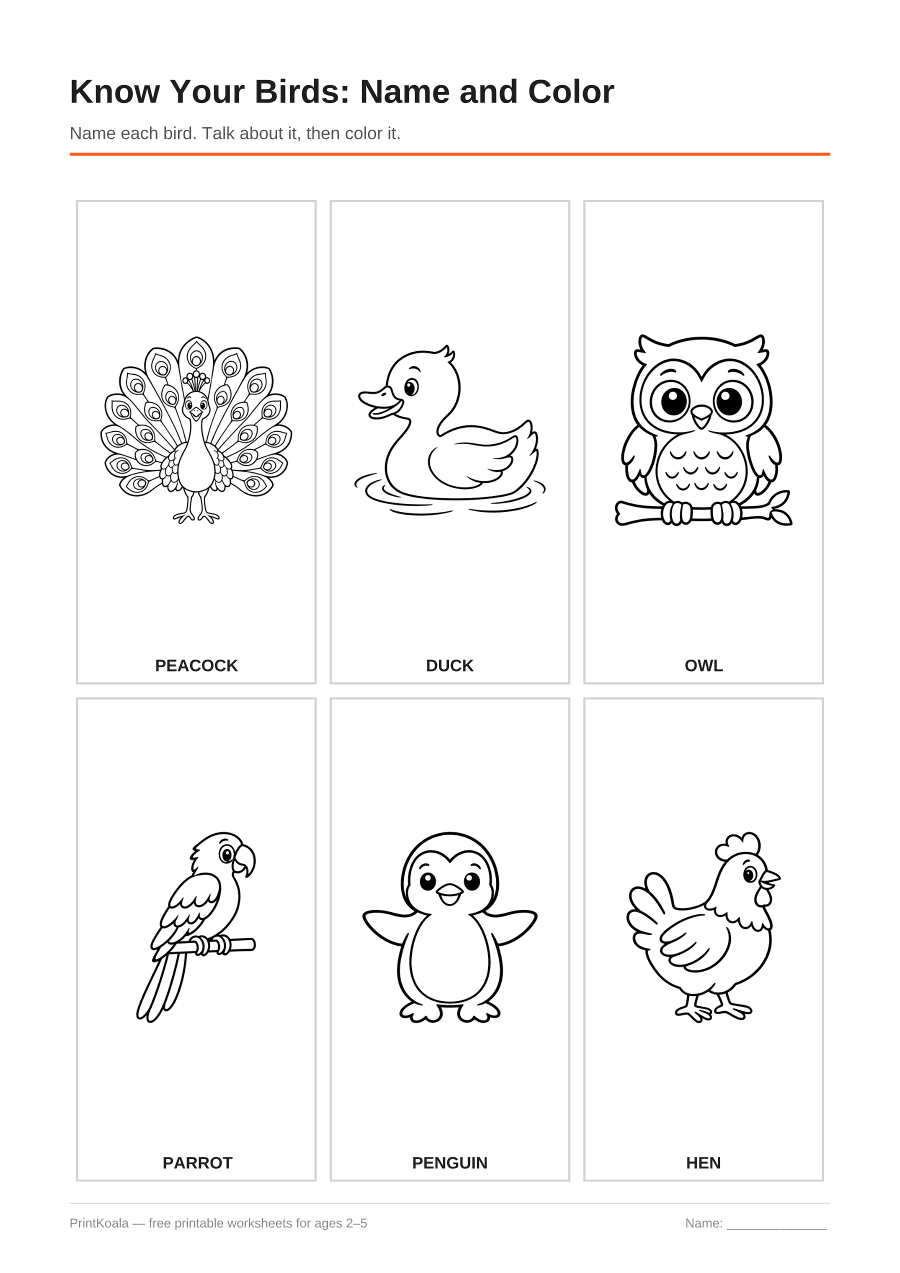 Full preview of the Know Your Birds: Name and Color worksheet