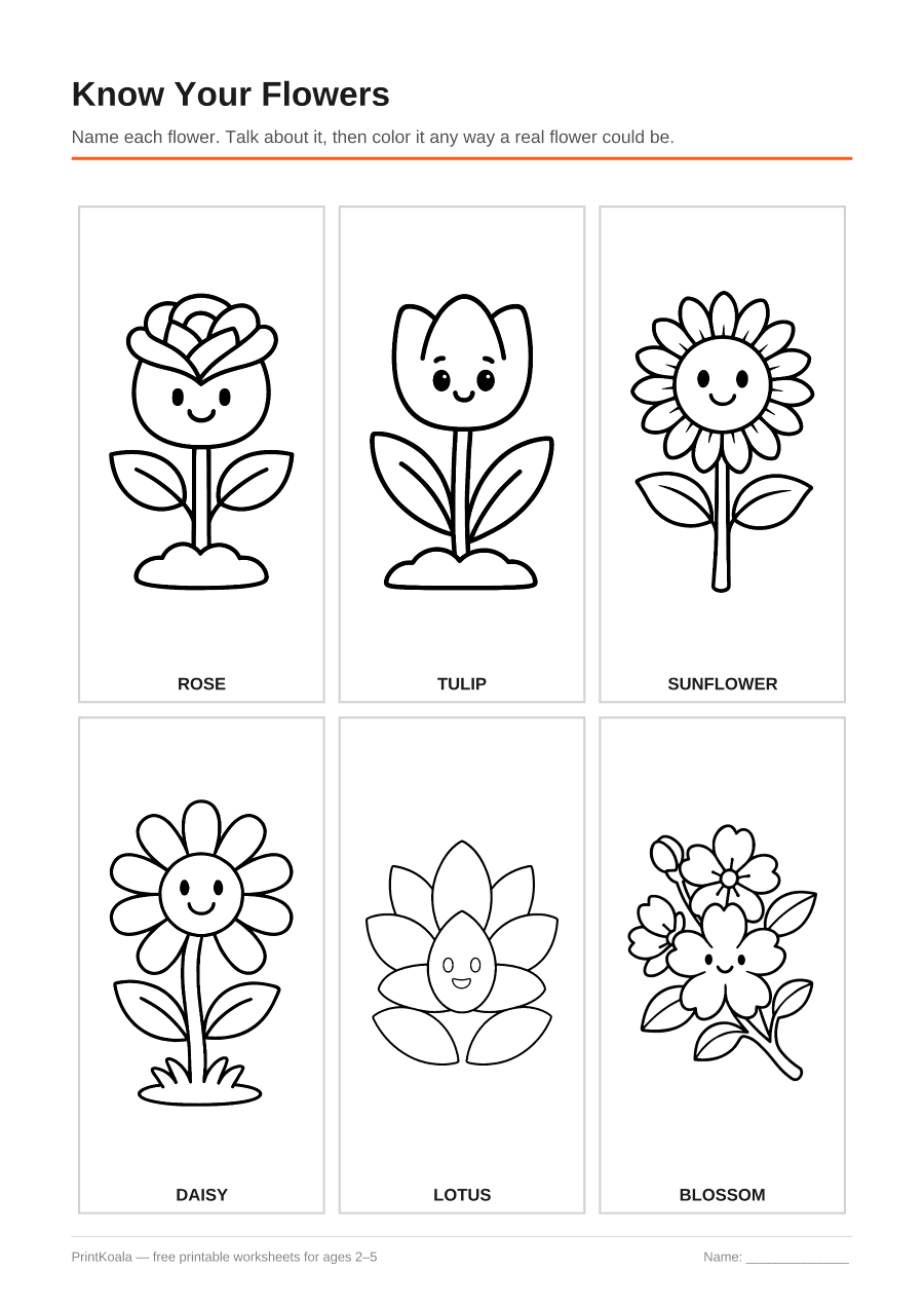 Full preview of the Know Your Flowers worksheet
