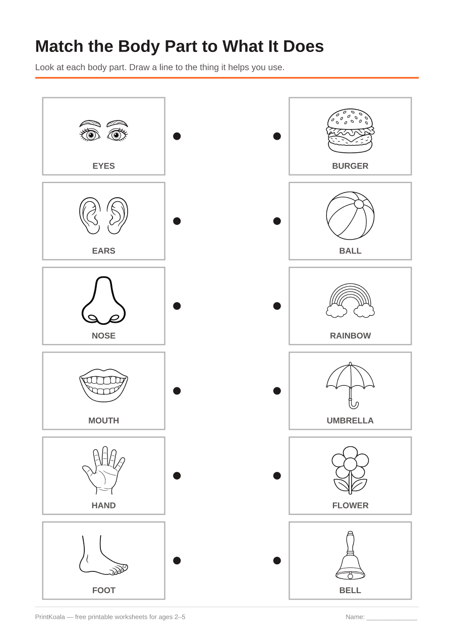 Full preview of the Match the Body Part to What It Does worksheet