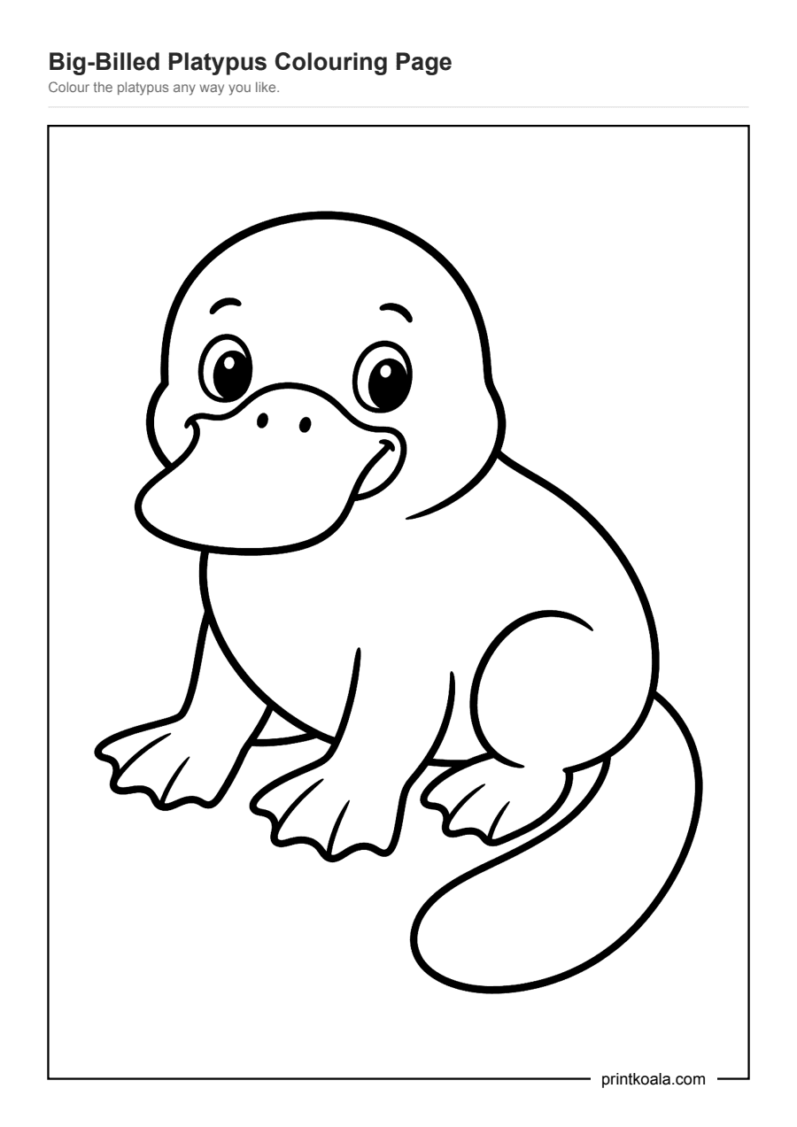 Full preview of the Big-Billed Platypus Colouring Page worksheet