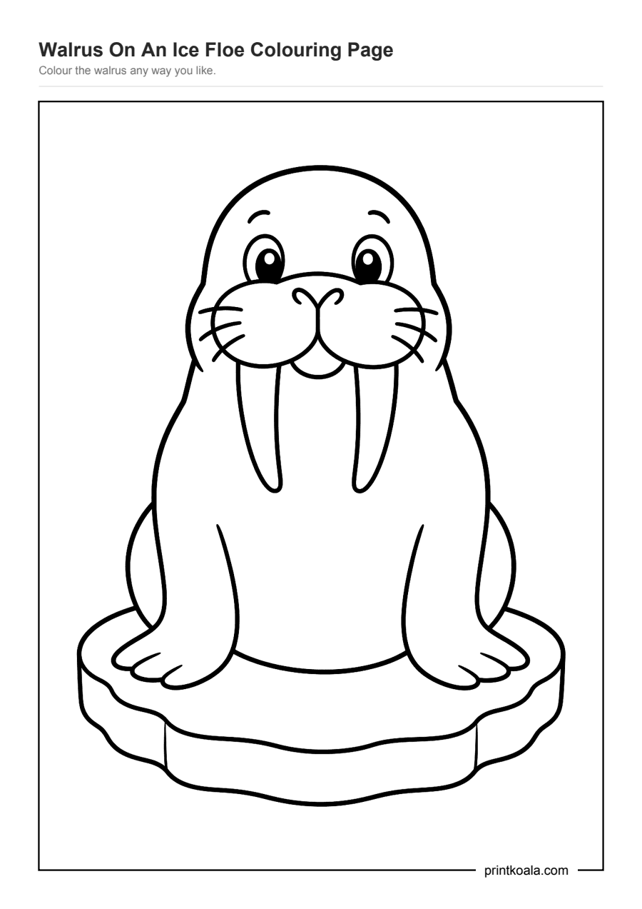 Full preview of the Walrus On An Ice Floe Colouring Page worksheet